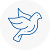 Bird Prevention Thame