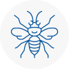 Thame Hornet Nest Removals