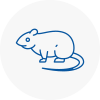 Rat Control Thame
