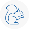 Thame Rodent Removals