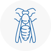 Thame Wasp Nest Removal